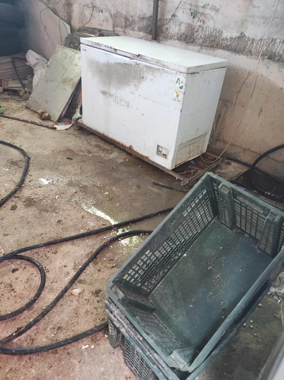 Şanlıurfa’da Gıda Skandalı: Denetimlerde Ortaya Çıkan Manzaralar Şok Etti!