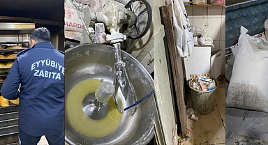 Eyyübiye’de Fırın Denetimlerinde Hijyen Alarmı: Cezalar Kesildi