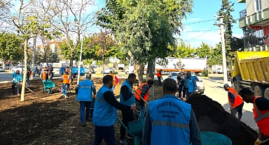 Eyyübiye Parklarında Bakım Zamanı