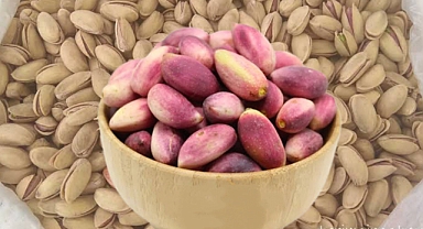 Gaziantep’te Fıstık Fiyatları Tavan Yaptı, Şanlıurfa’da Sessizlik Hakim!