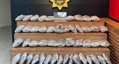 Şanlıurfa'da 29 kilo Skunk ele geçirildi