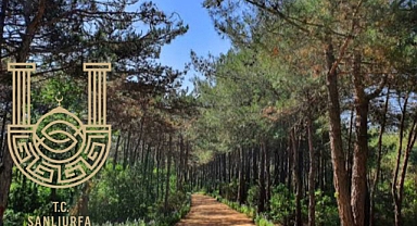 Şanlıurfa'da Ormanlık Alanlara Giriş Yasağı Kaldırıldı