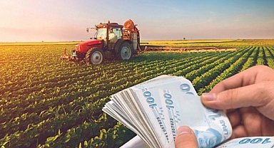 Şanlıurfalı Çiftçilere Müjde: Bakanlık 253 Milyon TL'lik Destek Ödemesi Yaptı