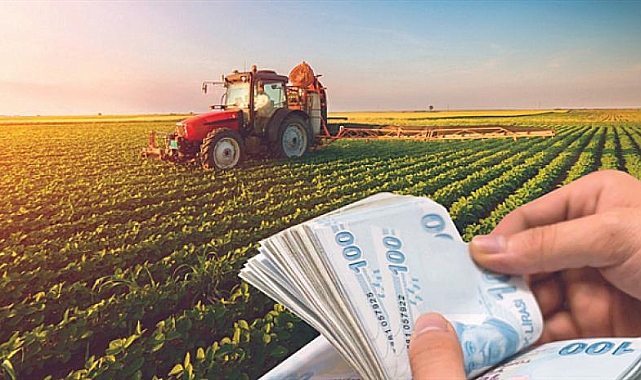Şanlıurfalı Çiftçilere Müjde: Bakanlık 253 Milyon TL'lik Destek Ödemesi Yaptı