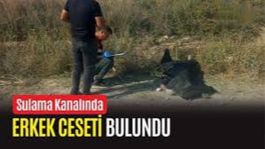 Şanlıurfa'da Çobanın Feci Ölümü: Sulama Kanalına Düşerek Hayatını Kaybetti