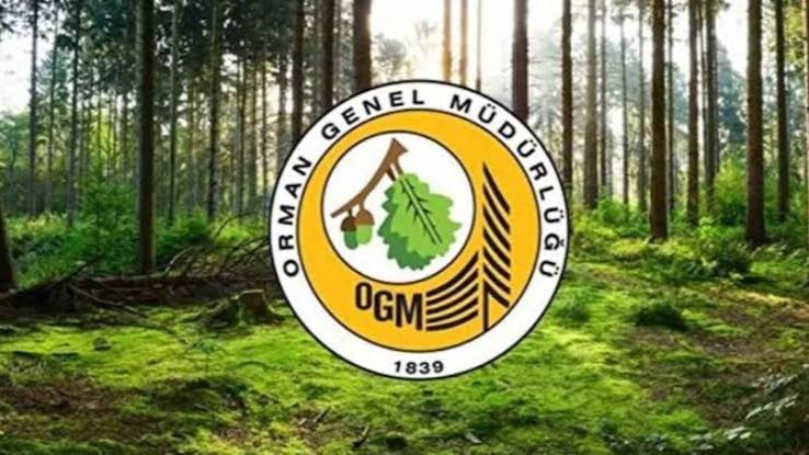 Şanlıurfa’da Orman İşçiliği İçin Kura Heyecanı: Kura Sonuçları Açıklandı