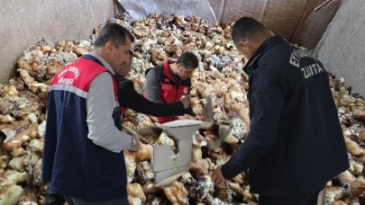 Baklava Skandalı! Şanlıurfa’da 11 Ton Bozuk Ceviz Ele Geçirildi