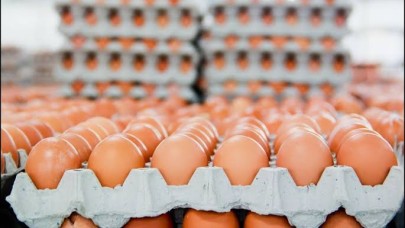 Yumurta Fiyatları Yere Çakıldı Şanlıurfa’da 70 TL’lik Dev İndirim Tüketiciyi Sevindirdi