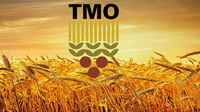 Şanlıurfalı Üreticilere TMO’dan Büyük Kolaylık Buğday ve Arpa Alımı 12 Mayıs’ta Başlıyor