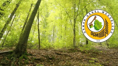 Şanlıurfa’da İş Arayanlara Büyük Fırsat! OGM’den 69 Personel Alımı Geliyor