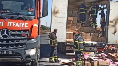 Şanlıurfa-Mardin Yolunda TIR Alevlere Teslim Oldu! İtfaiye Zamanında Müdahale Etti