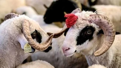 Kurban Bayramı Tatili 10 Güne Çıkıyor mu? Bakan Ersoy'dan Milyonları Sevindiren Açıklama!
