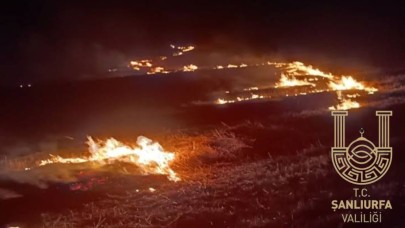Şanlıurfa Valiliği'nden Anız Uyarısı: Yakan Yandı! Ağır Para Cezaları Kapıda