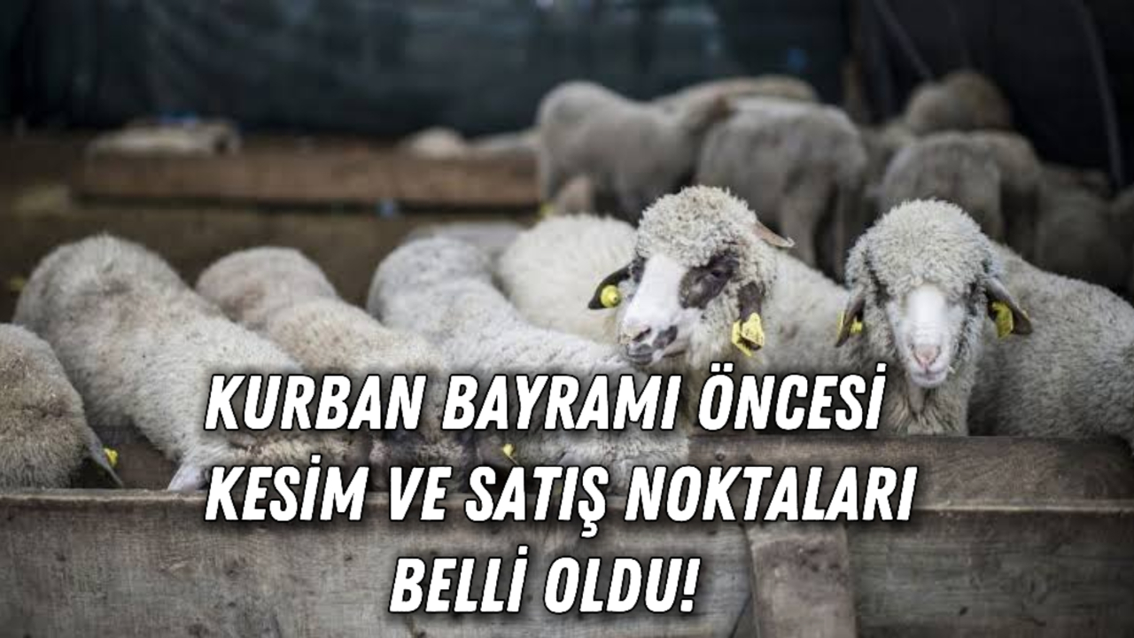 Kurban Bayramı Öncesi Kesim ve Satış Noktaları Belli Oldu!