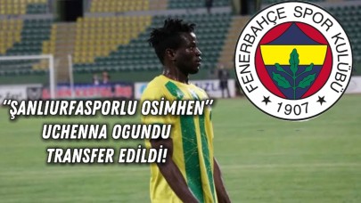 Fenerbahçe’den Sürpriz Hamle: “Şanlıurfasporlu Osimhen” Uchenna Ogundu Transfer Edildi!
