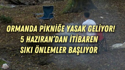 Ormanda Pikniğe Yasak Geliyor! 5 Haziran’dan İtibaren Sıkı Önlemler Başlıyor