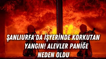 Şanlıurfa'da İşyerinde Korkutan Yangın! Alevler Paniğe Neden Oldu