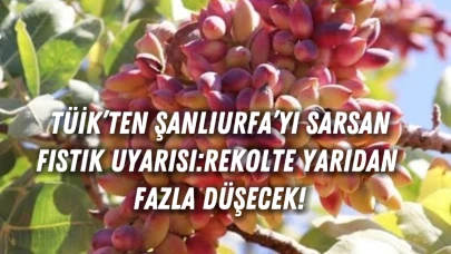 TÜİK’ten Şanlıurfa’yı Sarsan Fıstık Uyarısı: Rekolte Yarıdan Fazla Düşecek!