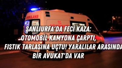 Şanlıurfa'da Feci Kaza: Otomobil Kamyona Çarptı, Fıstık Tarlasına Uçtu! Yaralılar Arasında Bir Avukat da Var