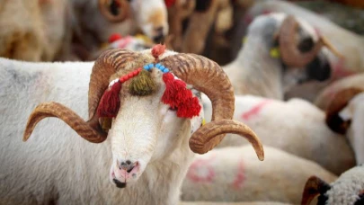 Bayram Namazından Önce Kesilen Kurban Geçersiz Sayılıyor! Diyanet'ten Vatandaşlara