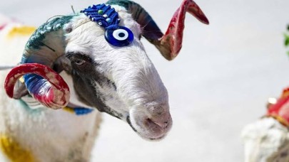 Urfa Haber Merkezi'nden Anlamlı Bayram Mesajı: Kurban Bayramınız Mübarek Olsun!