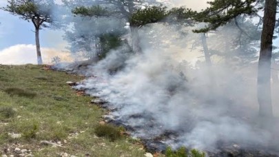 Şanlıurfa’da Peş Peşe Yangınlar! Bozova’da Korkutan Alevler Kırsal Alanı Sardı