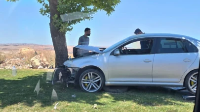 Şanlıurfa'da Kaza: Sürücü Direksiyon Hakimiyetini Kaybetti, Yol Kenarındaki Ağaca Çarptı