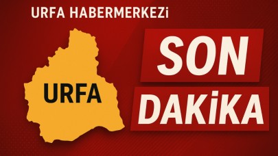 Viranşehir'de Aile Katliamı: 1 Kişi Hayatını Kaybetti, Saldırgan Araçta İntihar Etti