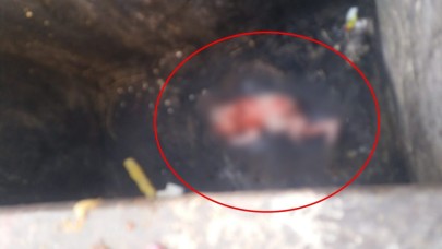 Yeni Doğan Bebeği Çöpe Attı! Vicdanları Sarsan Olay