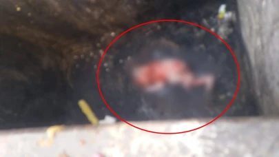 Yeni Doğan Bebeği Çöpe Attı! Vicdanları Sarsan Olay