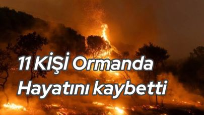 Eskişehir’de Orman Faciası: 11 Can Alevlere Teslim Oldu