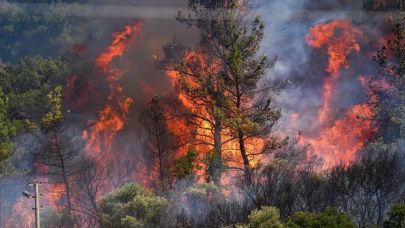 Bursa'daki Orman Yangınına Gönüllü Geldiler, Faciayla Sonuçlandı: 3 Can Kaybı