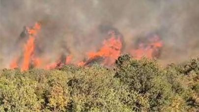 Balıkesir Susurluk’ta Orman Yangını