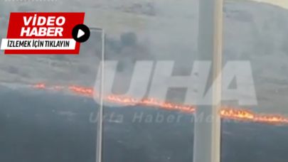 Şanlıurfa'da Orman Alanda Yangın: İtfaiyeler Müdahale Ediyor