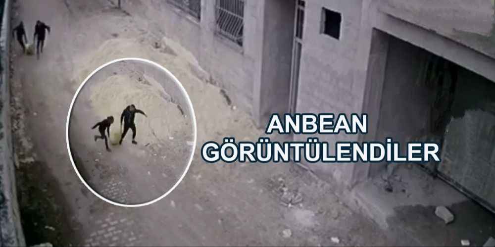 Şanlıurfa'da insanlık bu hale geldi!