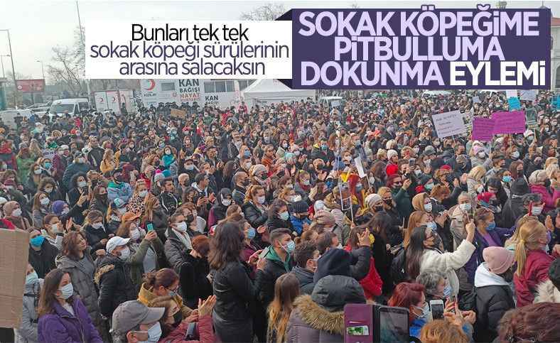 Sokak köpekleri için eylem yaptılar