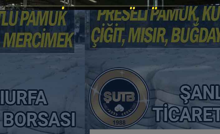 Urfa'da pamuk bir rekor daha kırdı!