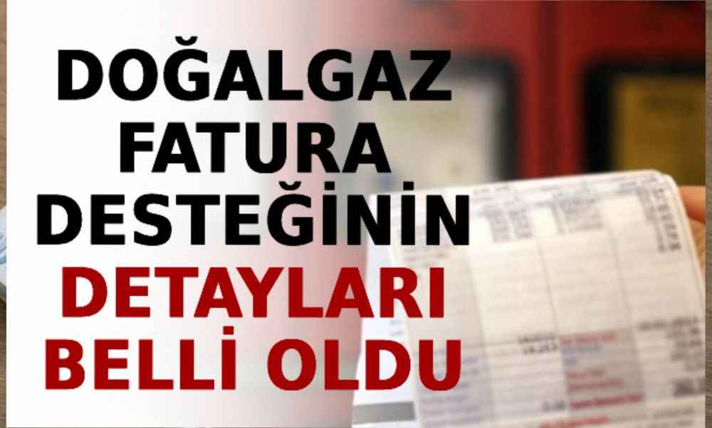 Doğalgaz Fatura Desteğinin Detayları Belli Oldu! Başvurular e-Devlet’ten Yapılacak
