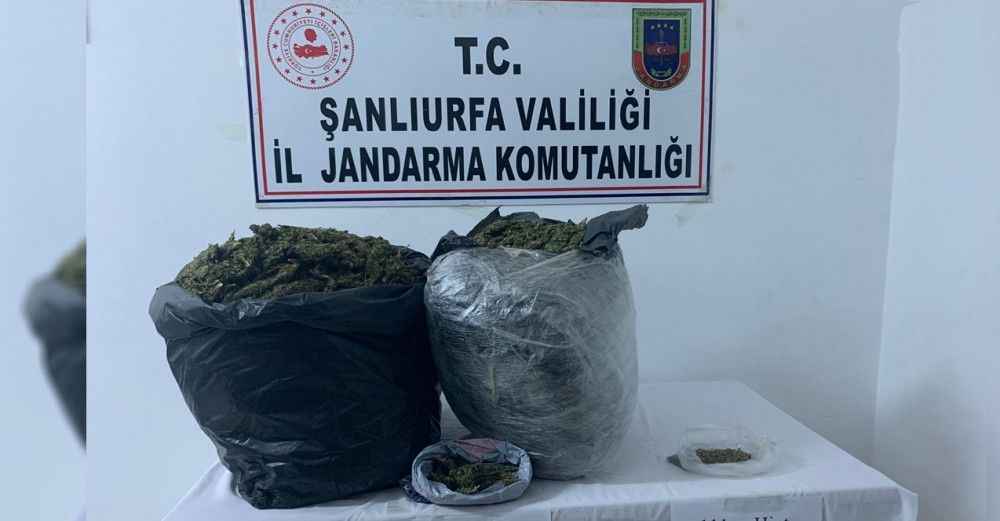 Jandarmadan uyuşturucu tacirine operasyon!