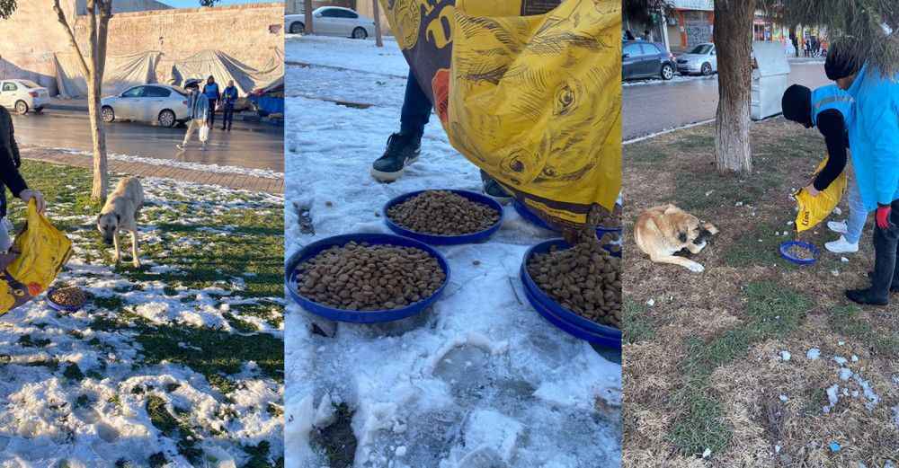 Eyyübiye Belediyesi ‘can dostları’ unutmadı