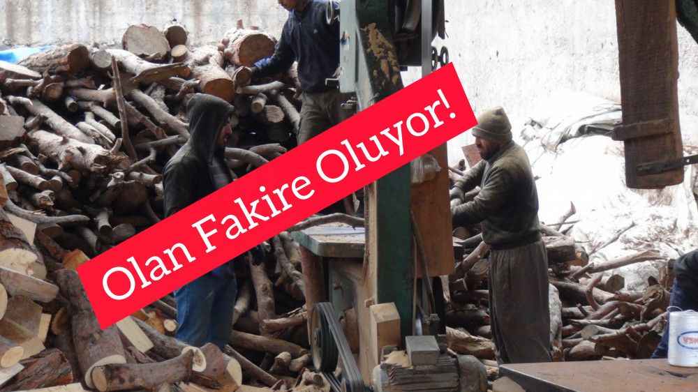 Odunun fiyatı yüzde 100 arttı