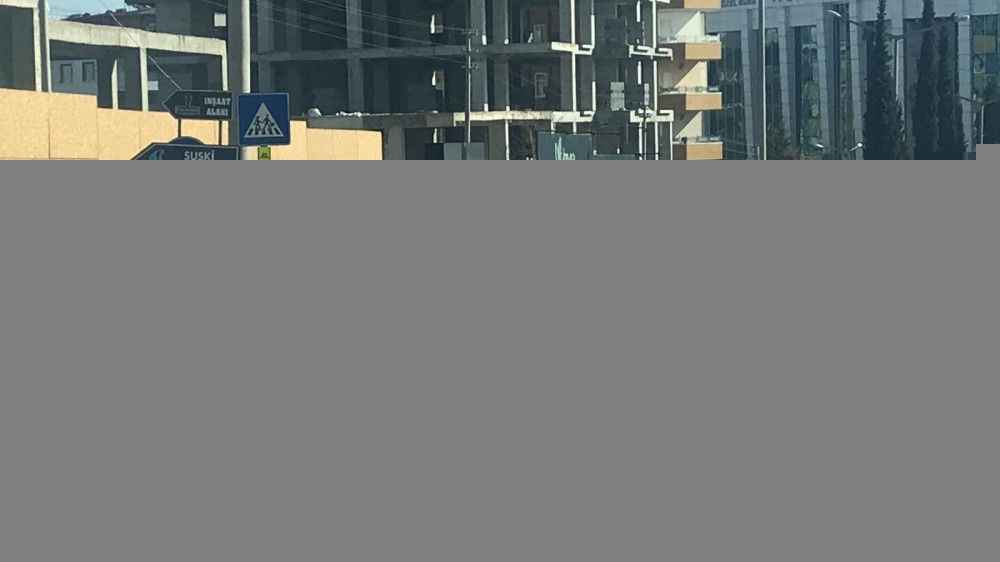 Şanlıurfa'da Sokak köpekleri tedirgin ediyor