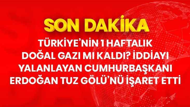 Bir haftalık doğal gaz kaldığı yönündeki iddialara Cumhurbaşkanı Erdoğan'dan yanıt: Öyle bir sıkıntımız yok