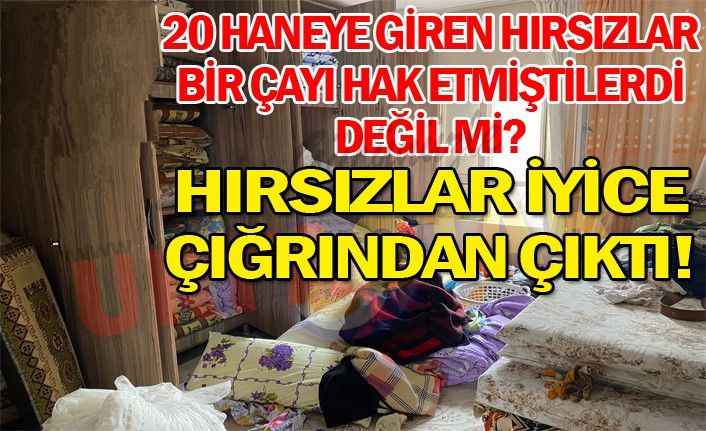 Urfa'da köy evleri talan edildi!