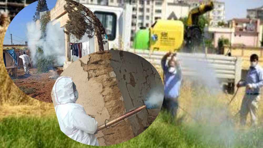 Urfa sınırında ‘şark çıbanı’ çalışması