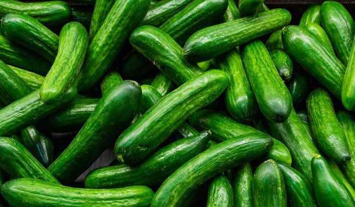 1 Kilo Salatalık Fiyatı Gündem Oldu!