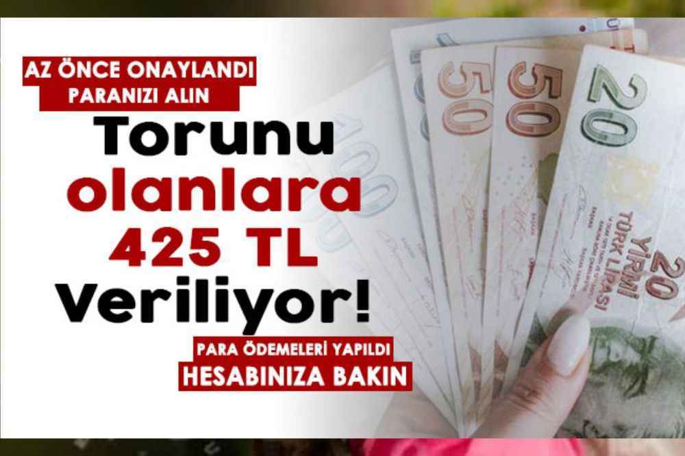 Torunu olanlara 425 TL para ödemesi yapıldı! Az önce onaylandı