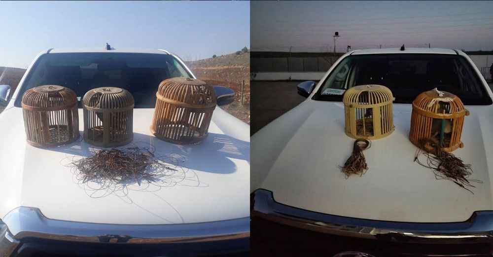 Şanlıurfa'da Kaçak avlananlara para cezası kesildi
