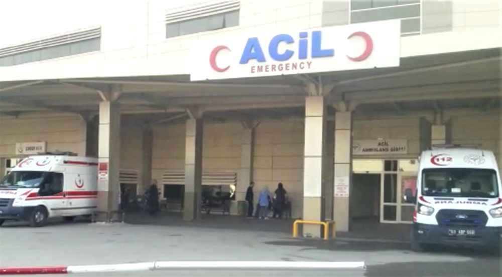 Şanlıurfa'da Okula giden çocuklara köpek saldırdı