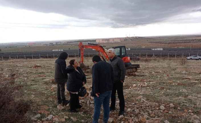 Urfa'da yanan ormanlık alanlar yeniden hayat bulacak